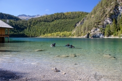 Blindsee_Herbst2018-43