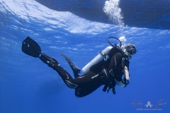 Aegypten-SomaBay-Juni2024-126