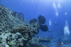 Aegypten-SomaBay-Juni2024-33