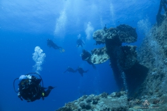 Aegypten-SomaBay-Juni2024-39