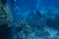 Aegypten-SomaBay-Juni2024-40