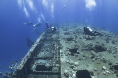 Aegypten-SomaBay-Juni2024-64