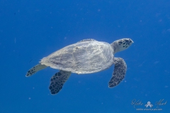 Aegypten_Nov2024-139