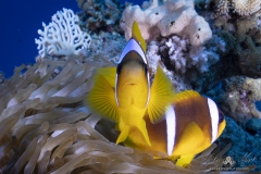 Aegypten_Nov2024-145