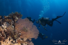 Aegypten_Nov2024-20