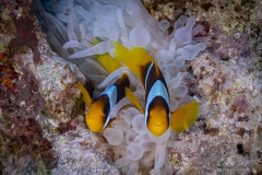 Aegypten_Nov2024-35
