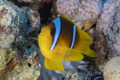 Aegypten_Nov2024-37