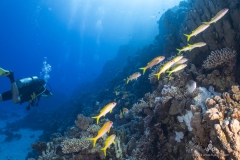 Aegypten_Nov2024-47