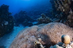 Aegypten_Nov2024-52
