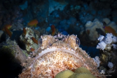 Aegypten_Nov2024-59
