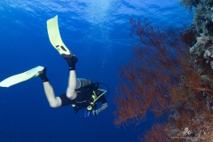 Aegypten_Nov2024-68