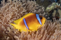 Aegypten_Nov2024-7
