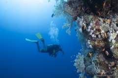 Aegypten_Nov2024-78