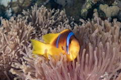 Aegypten_Nov2024-8