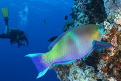 Aegypten_Nov2024-80