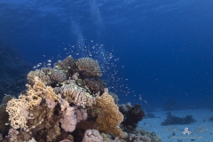Aegypten_Nov2024-88