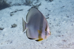 Aegypten_Nov2024-94