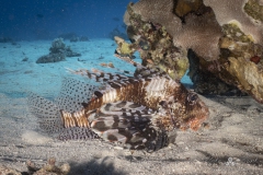 Aegypten_Nov2024-98