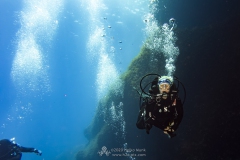 Gozo_UW-29