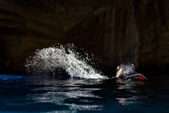 Gozo_UW-30
