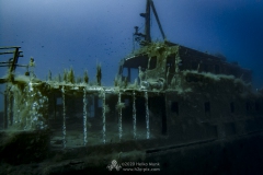 Gozo_UW-4