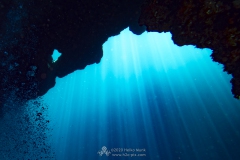 Gozo_UW-49