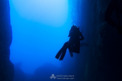 Gozo_UW-53