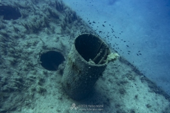 Gozo_UW-70