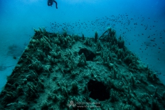 Gozo_UW-71