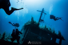 Gozo_UW-74
