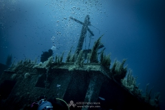 Gozo_UW-76