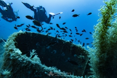 Gozo_UW-82